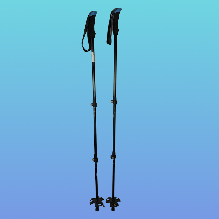 NEW 4-Season Adjustable Ski Poles