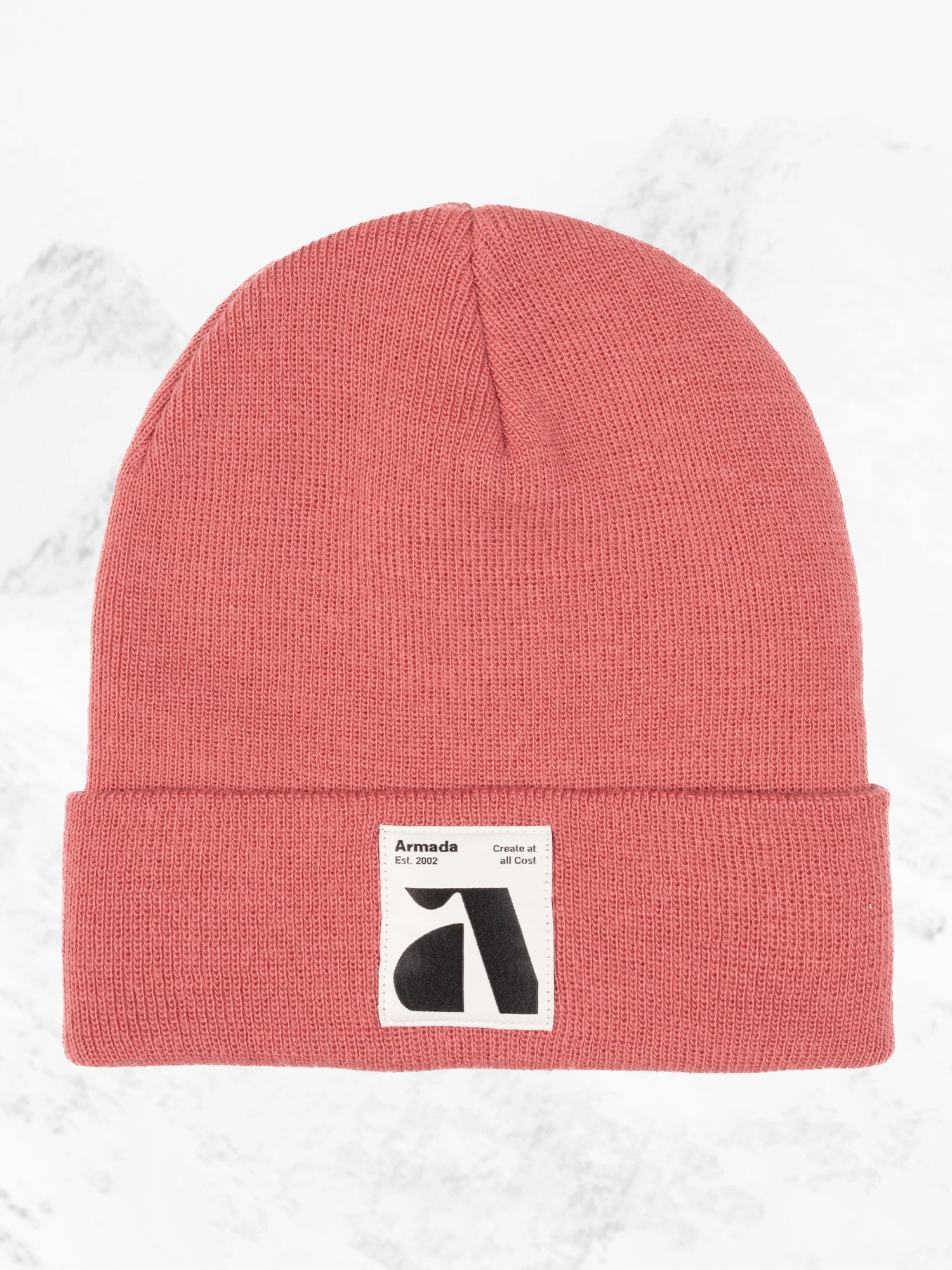 NEW Armada Staple Beanie
