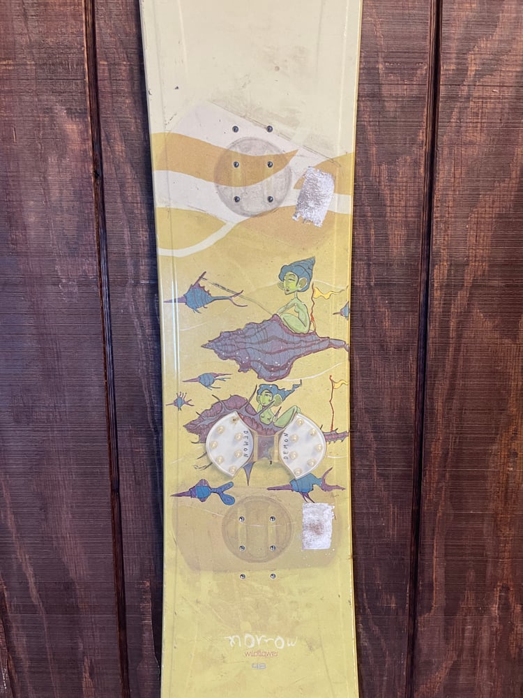 Morrow Wildflower Women's Snowboard - USED