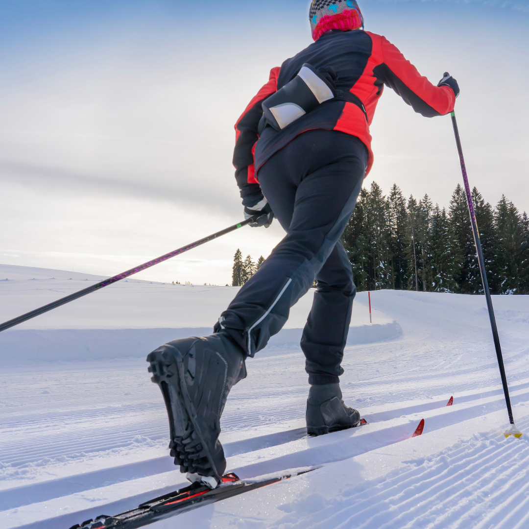Cross Country Skis