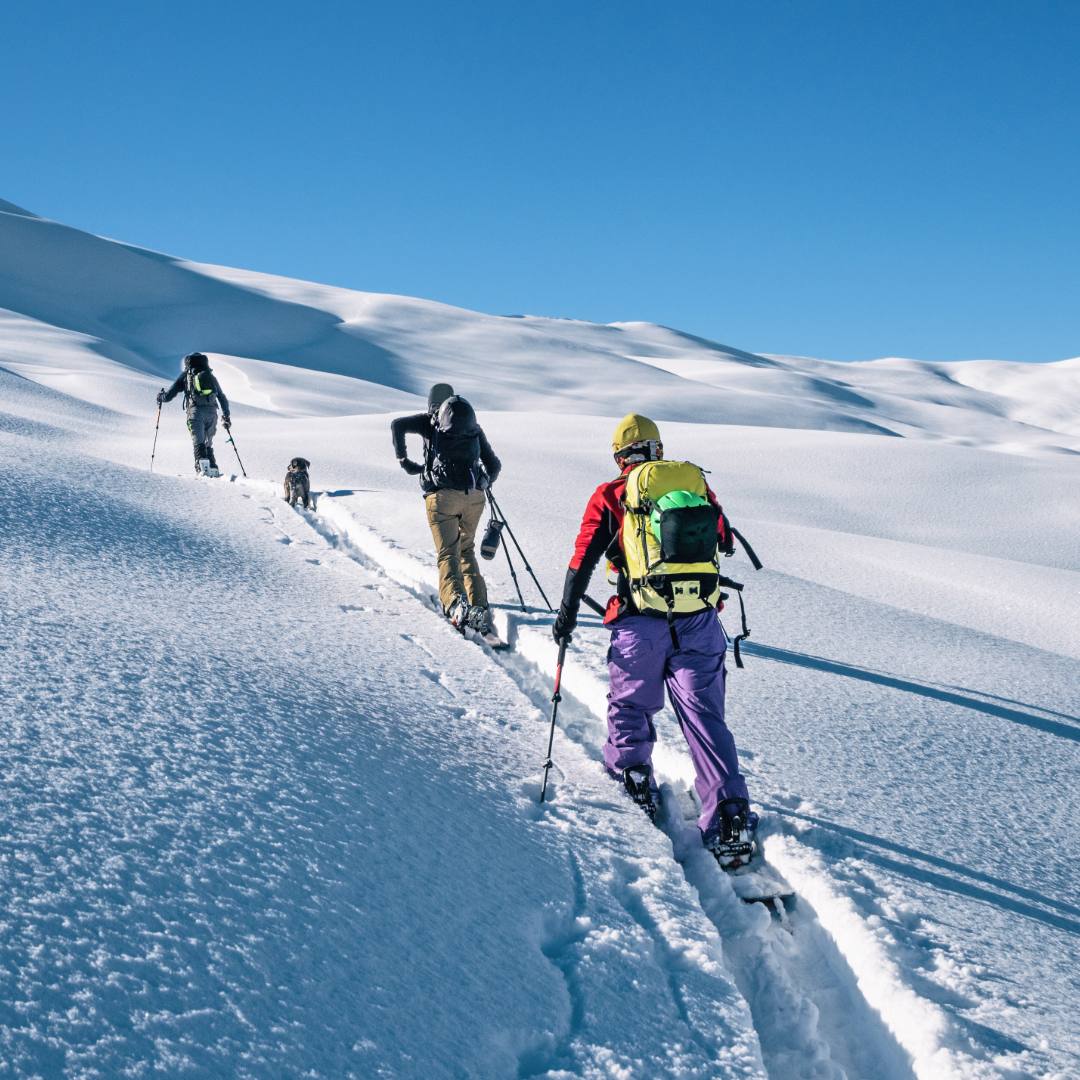 Alpine Touring Skis