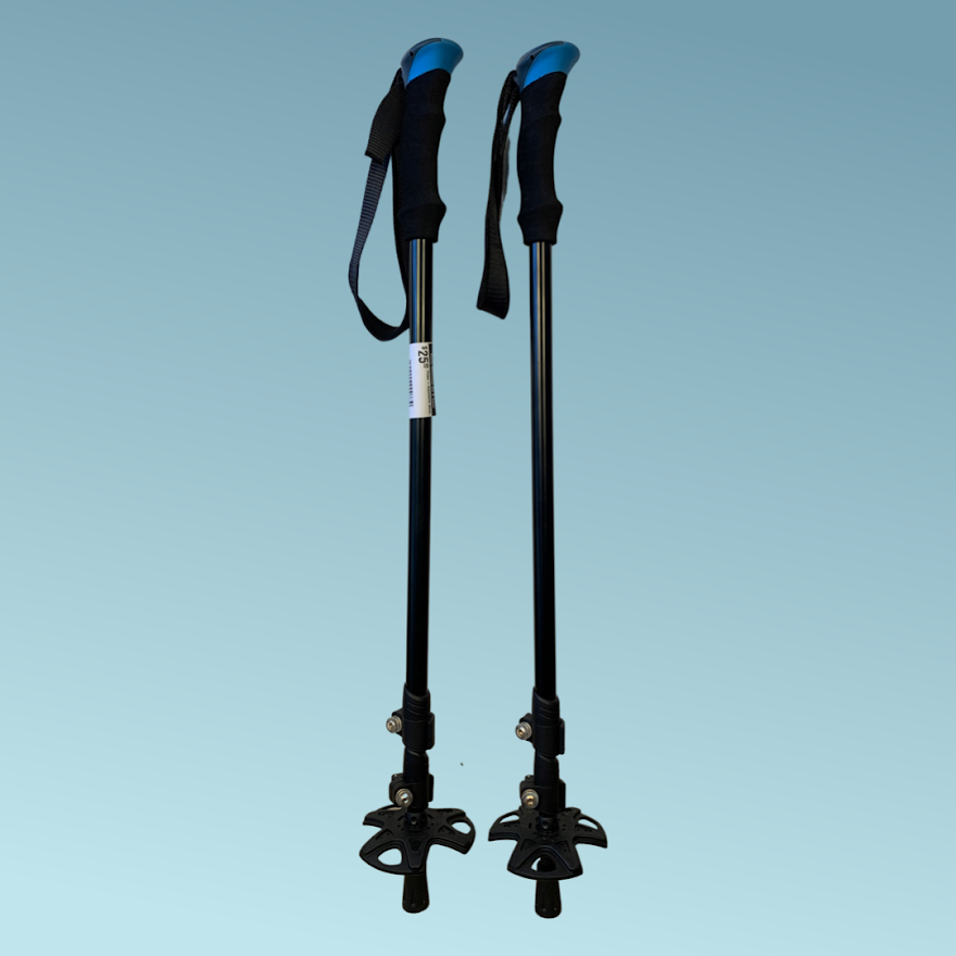 NEW 4-Season Adjustable Ski Poles