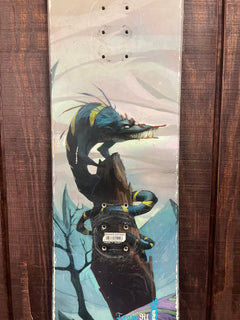 Used Rossignol Kids Snowboard